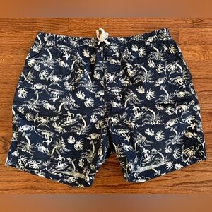 j Crew dock shorts